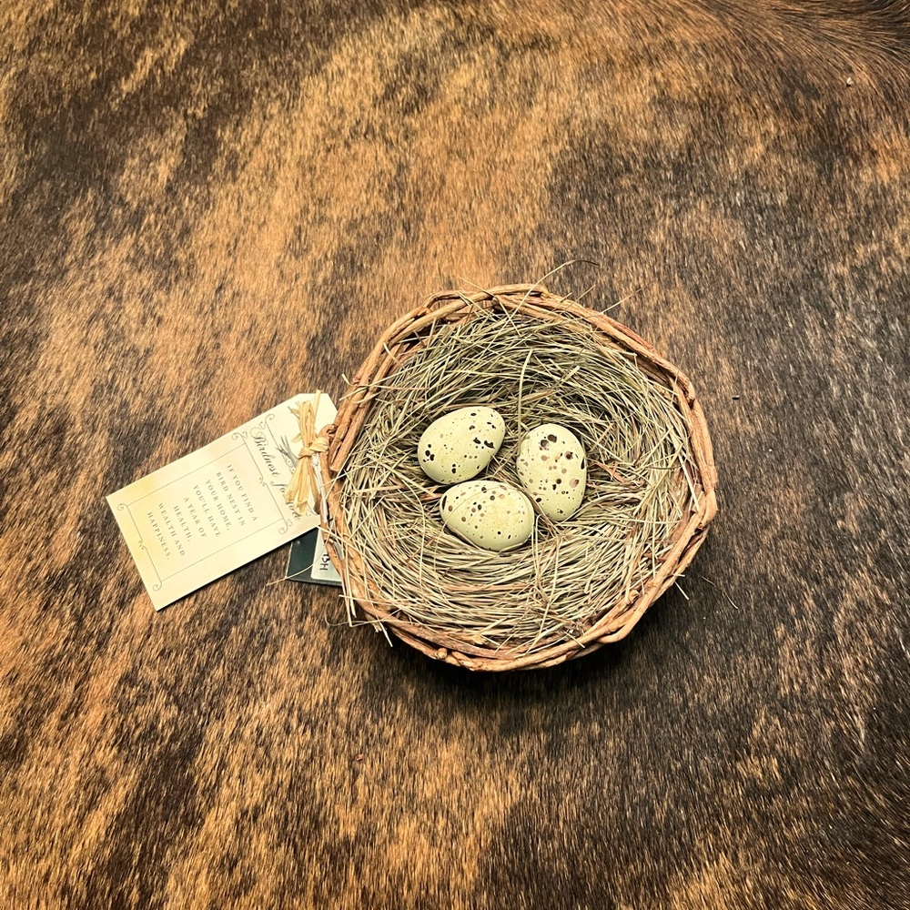 Super cute bird nest
